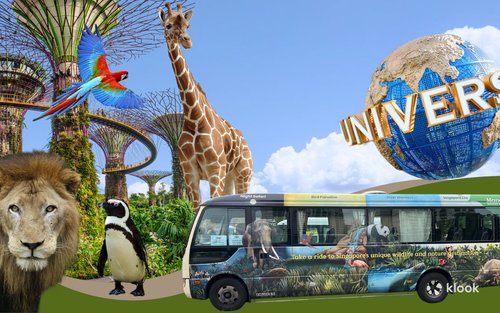 シンガポール動物園：旅行前に知っておきたいおすすめ情報