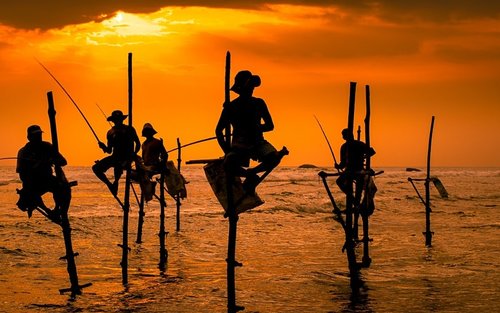 All-In River Safari, Galle, Mirissa Beaches(Whale watching optional)