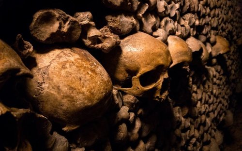Catacombs and Seine River Cruise Ticket in Paris