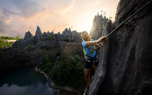 Rainforest Wild Adventure Ticket | Mandai Wildlife Reserve, Singapore