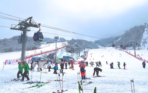 비발디 스키 + 어비 얼음 계곡