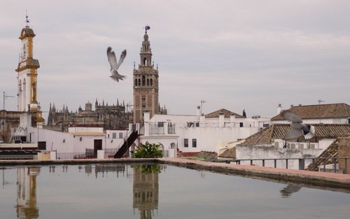 Seville Setas de Sevilla 2-Hour Small Group Walking Tour