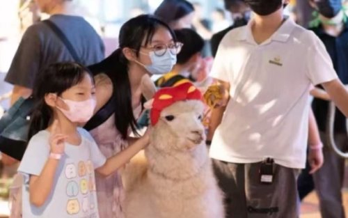 Zhongshan Miguo Animal City - Petting Zoo