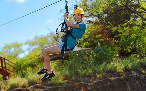 Zip & Dip приключение с транспорт от Уайкики