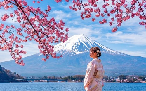 2026年 日本 忍野 しのびの里のおすすめツアー