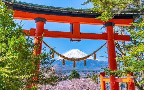 Mt.Fuji Tour: Arakurayama/Lake Yamanaka/Oshino Hakkai/Illumination