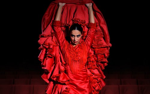 Pasion Flamenco Show in Seville