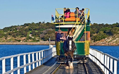 Adelaide Fleurieu Peninsula Full-Day Chinese Small Group Tour