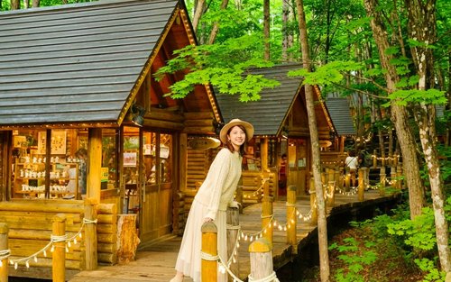 Hokkaido Popular Attractions Day Tour | Asahikawa Zoo & Instagram-worthy Tree & Shirahige Falls & Biei Blue Pond & Ningle Terrace