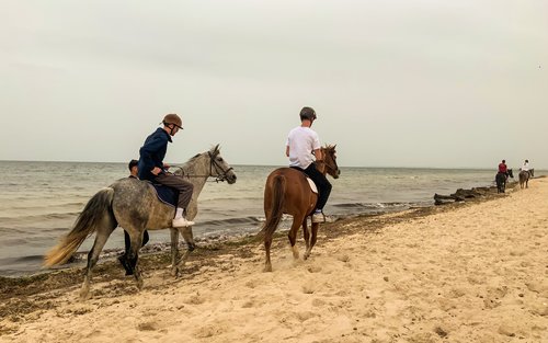Ridning i naturen