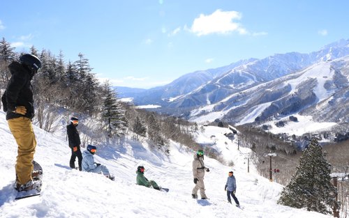 シャトルバス送迎（白馬 スキー場⇔成田空港・羽田空港・東京駅）