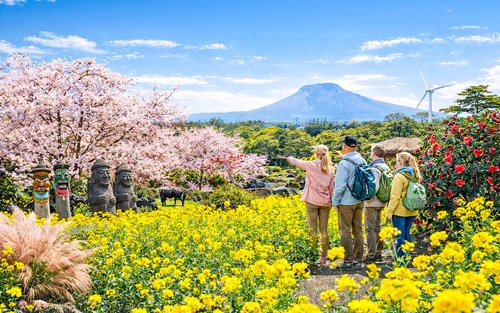Jeju's Southern Euphoria Tour With Mt.Halla, Green tea, Waterfall