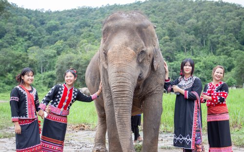 ประสบการณ์ที่ศูนย์อนุรักษ์ช้างโชคชัย | เชียงใหม่