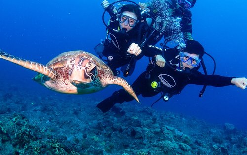 Liuqiu Fun Dive - Scuba Diving Experience
