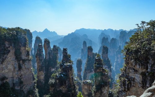 張家界国家森林公園一日観光【VIP優先入場＋英語混載ツアー＋入園6つの優先レーン利用で待ち時間なし】