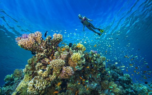 Schnorcheln Sie in Hurghadas Wundern: Ganztägiger Ausflug mit PADI 5 Star 