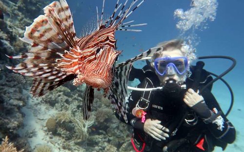 Kursus PADI Scuba Diver Marsa Alam