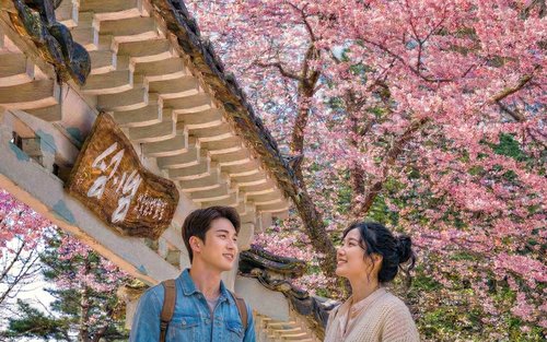 Spring Adventure: Nami, Alpaca, Rail Bike & Morning Calm Tour