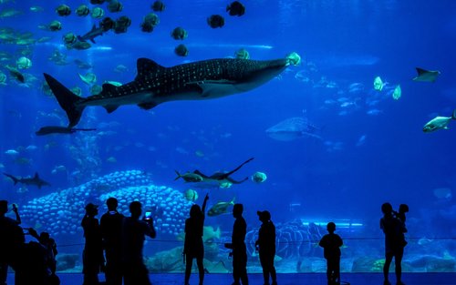 深圳前海冰雪世界+ 珠海長隆海洋王國2日親子之旅