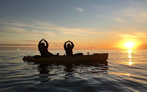 Sunset Kayak Experience with Seal Sighting in Kaikoura