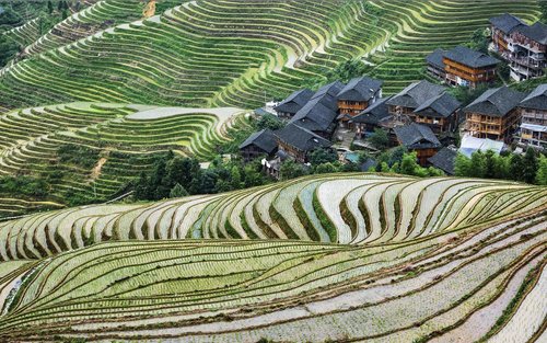 One-day tour of Longji Rice Terraces in Guilin