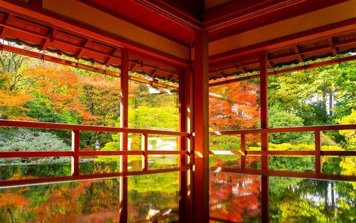 [Shiga In-depth Tour] Miho Museum, Old Bamboo Forest Garden or Hieisan Shrine, Lake Biwa Shirahige Shrine Water Torii Gate (Roundtrip from Osaka / Kyoto)