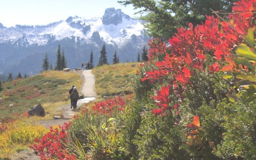 Lawatan Peribadi Sehari Penuh Gunung Rainier Seattle