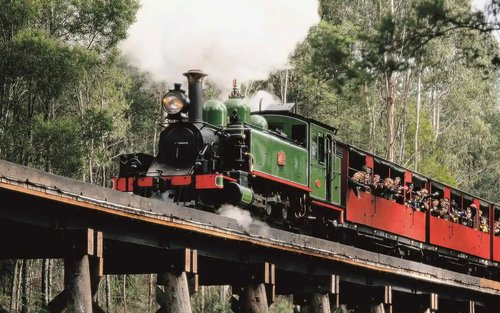 Lawatan Peribadi & Hidupan liar Satu hari di Kereta Api Stim Puffing Billy & Taman Pemuliharaan Hidupan Liar Santuari Moonlit