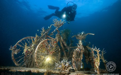 Совершенство дайвинга на Бали: курс Advanced Open Water в дайвинг-центре PADI 5*