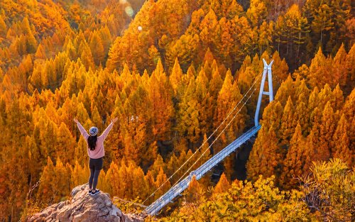 Autumn Jangtaesan Forest & Sungsimdang Bakery Day Tour from Seoul