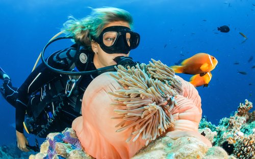 Experiencia de buceo para principiantes en Bali