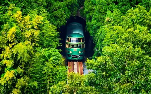 Experiencia en el Tren Yufuin no Mori | Infiernos de Beppu + Parque Natural de Animales de Kyushu + Excursión de un Día a Yufuin (Guía en Chino e Inglés)
