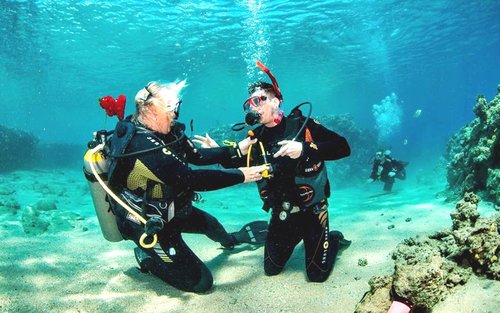 Sahl Hasheesh: Diving or Snorkeling Boat Trip with Lunch