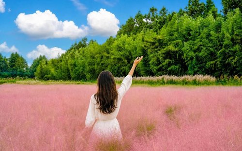 Tour Jeju 3 Ngày Khám Phá Các Điểm Nổi Bật Di Sản UNESCO Đông, Nam & Tây