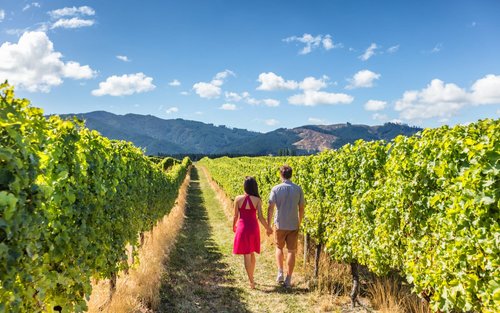 Tour Ngày Tham Quan Rừng Muir, Sonoma và Vùng Rượu Vang Napa từ San Francisco
