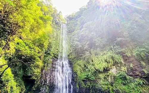 宜兰: 拼车一日游 - 张美阿嬷农场 & 清水地热公园 & 星宝葱体验农场(台北出发)