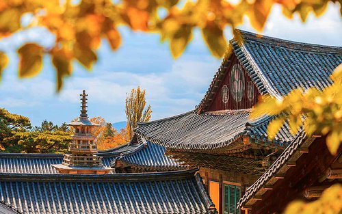 Lawatan Sejarah & Budaya Sehari Penuh Busan Gyeongju