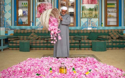 Taif Mountains & Cultural Full-Day Tour with Lunch