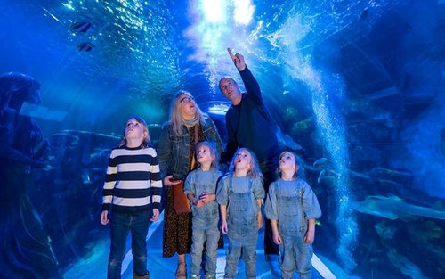 伯明翰SEA LIFE水族馆门票 