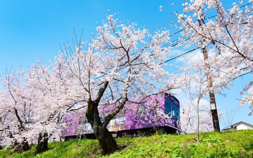 Tiket Gratis Arashiyama Gourmet Coupon + Randen 1 Hari