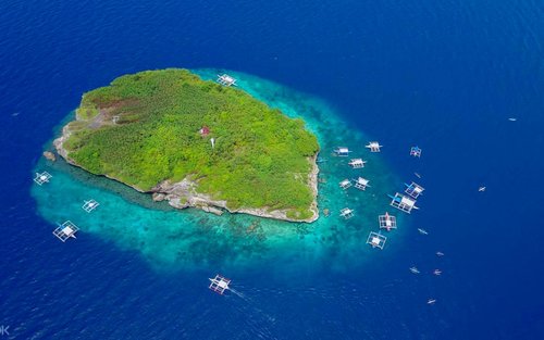 Oslob Whaleshark Watching & Sumilon Island Day Tour