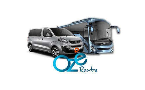 Paris Charles de Gaulle Airport Transfer to Paris Disneyland by Ozeroute