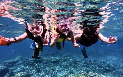 Ishigaki Island: Phantom Island & Blue Cave Snorkeling (1-Day Tour)