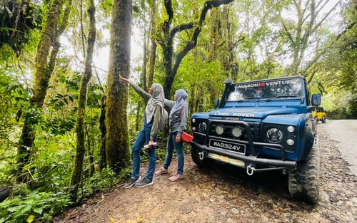 キャメロンハイランド 日帰りツアー