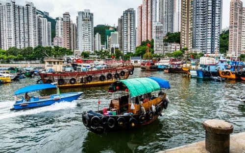 HK Cruise Shore Excursion: Peak, Pandas, City Highlights & Lunch