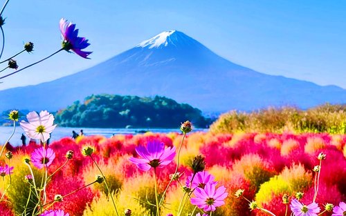 Lawatan Insta-Layak Gunung Fuji & Penerokaan Bunga Bermusim di Tasik Kawaguchi (Percuma Mochi Rumput Jepun)｜Berlepas dari Tokyo/Shinjuku
