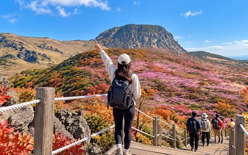 Jeju South Euphoria: UNESCO Sites Full-Day Tour