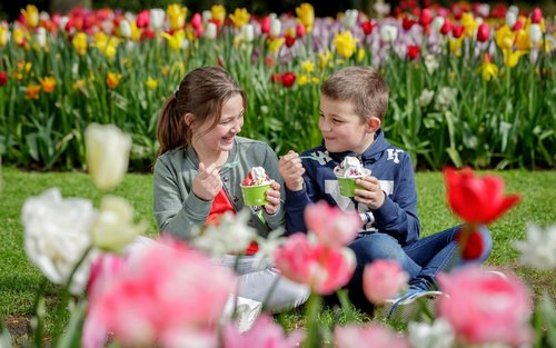 Keukenhof Tours with Countryside and Cruise Options
