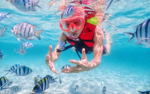 Dive into Nemo's World – Snorkeling Experience from Pattaya