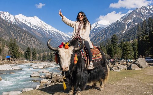 Da Delhi: Tour di più giorni a Manali e Solang con guida parlante inglese/giapponese/cinese/coreano